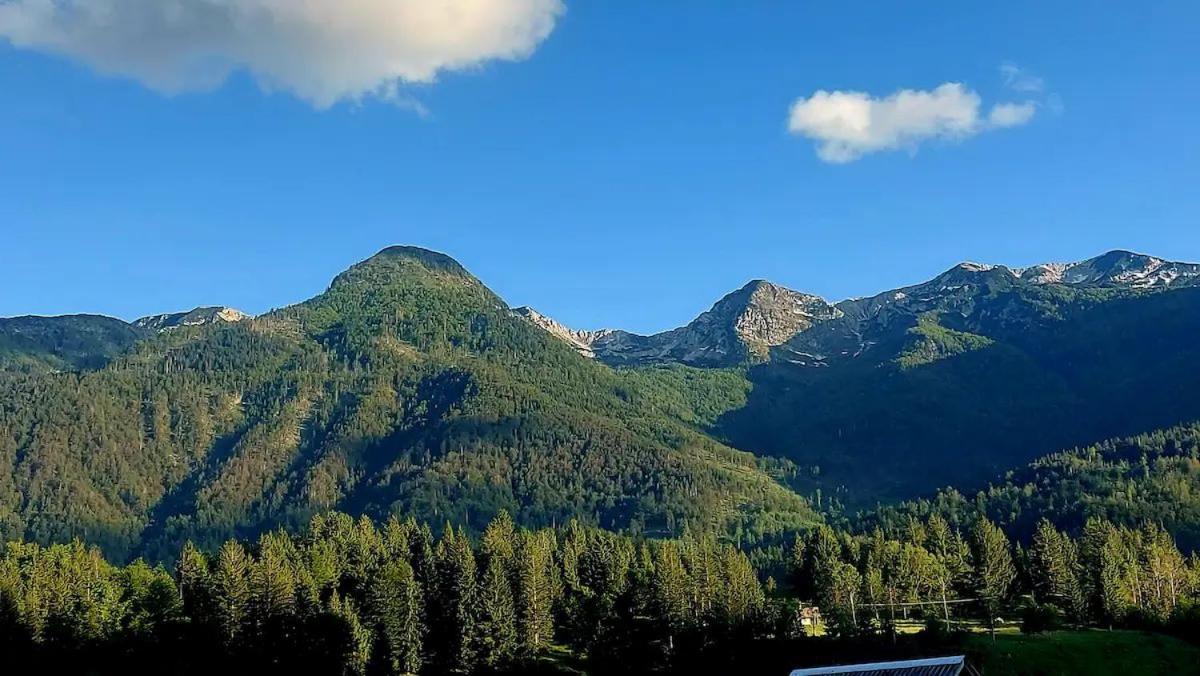 Apartment Stare Bohinj Eksteriør billede
